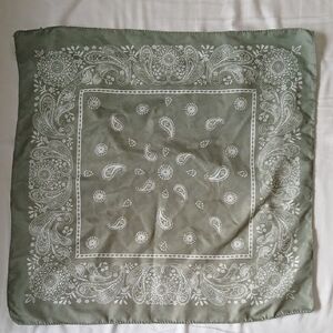 Sage Green Satin Paisley Bandana Handkerchief
